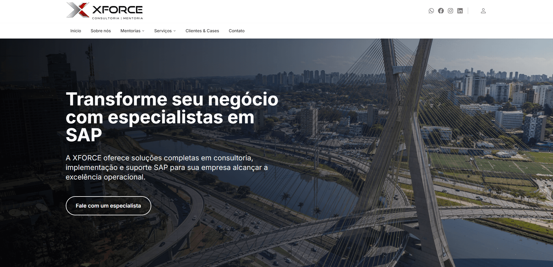 Xforce Consultoria SAP